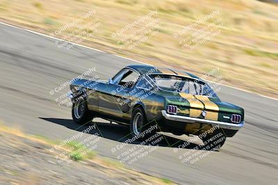 media/Mar-23-2025-West Coast Racing (Sun) [[de161b708f]]/Yellow Group/Session 3 (Turns 3 and 5)/
